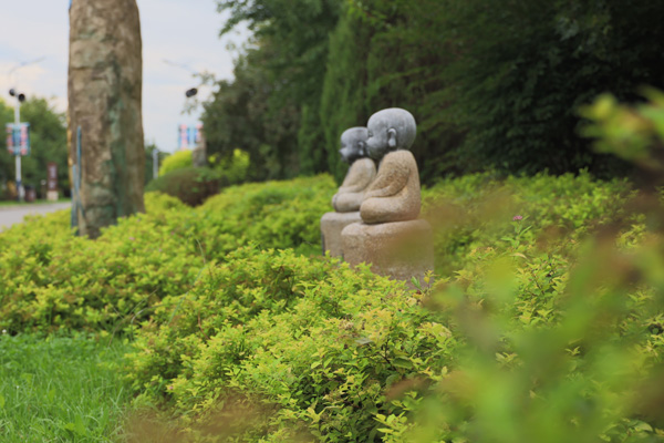 ��������